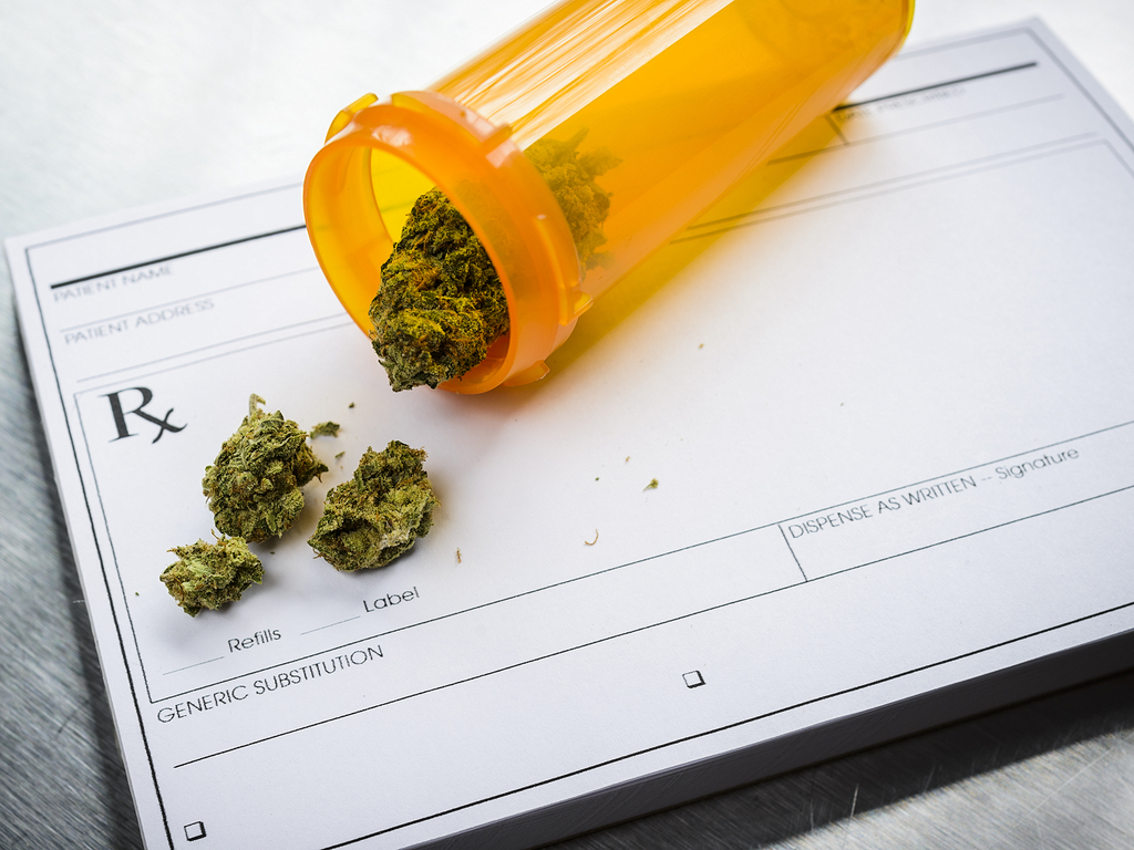 The Charlotte’s Web Bill – Medical Marijuana in Florida